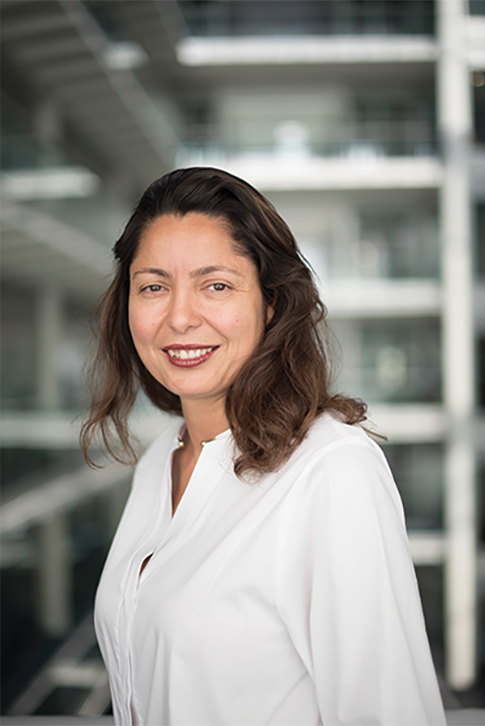 CFO - Olfa Zorgati