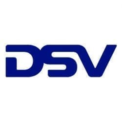 DSV logo