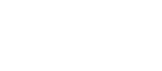 DPD Logo White DPD