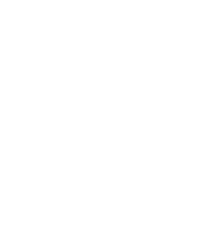 UPS Logo White UPS