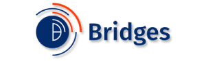 Bridges International